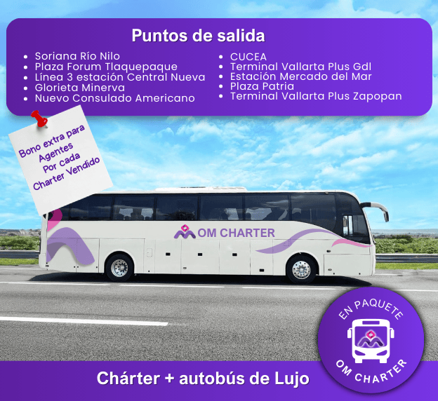 OM Charter - Autobús de Lujo
