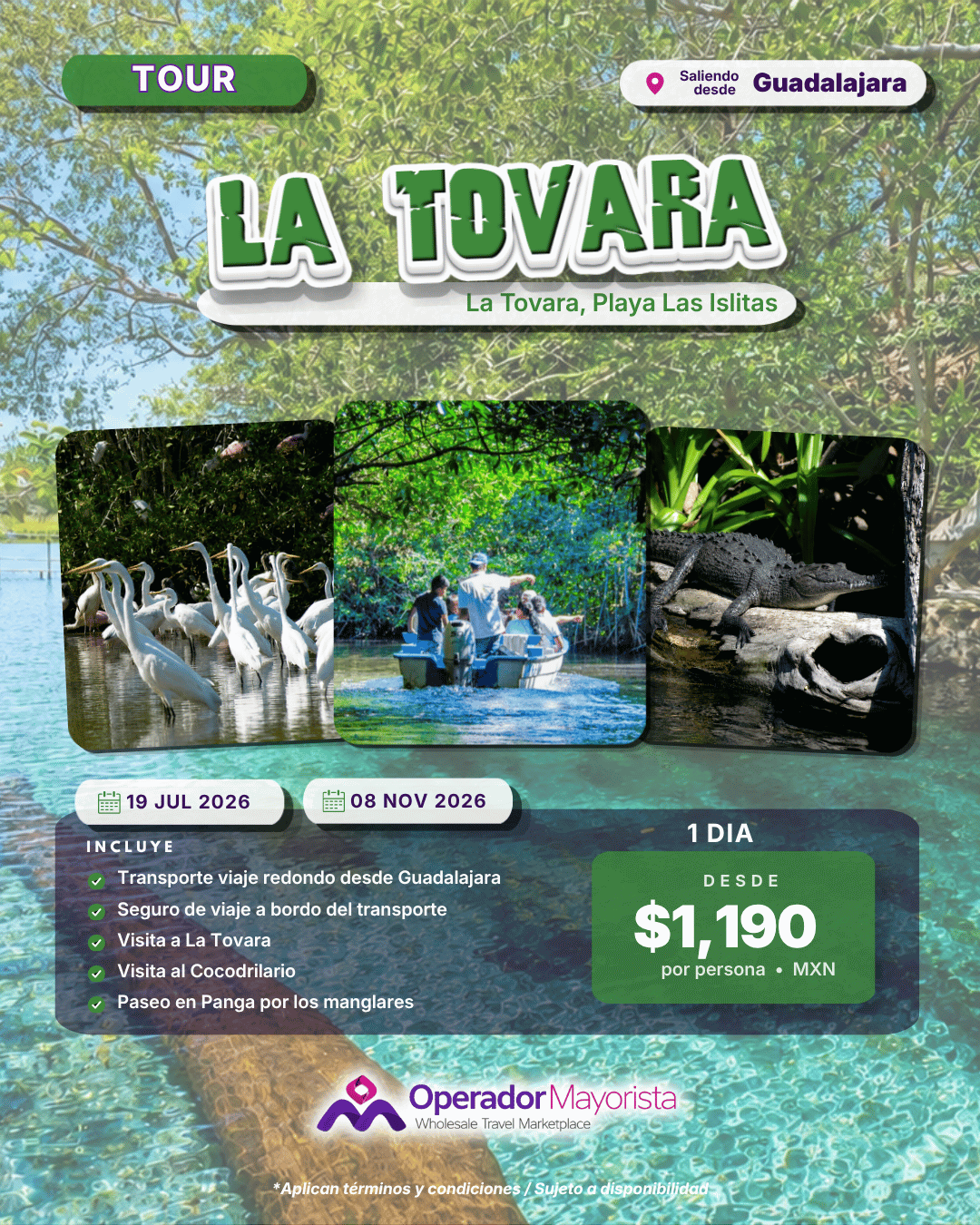 LA TOVARA Y Playa las Islitas